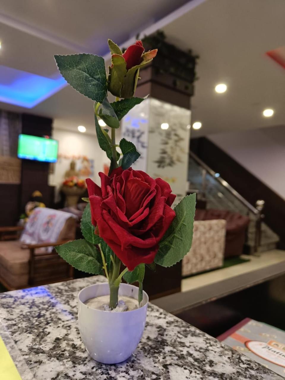King Castle Mcleodganj-Centrally Heated And Air Cooled- Near Mall Road - Free Parking Dharamshala Esterno foto